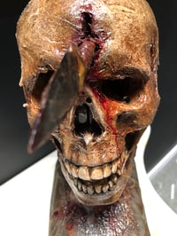 Image 3 of Arrowhead Skull