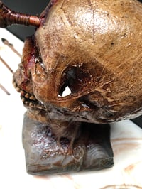 Image 2 of Arrowhead Skull