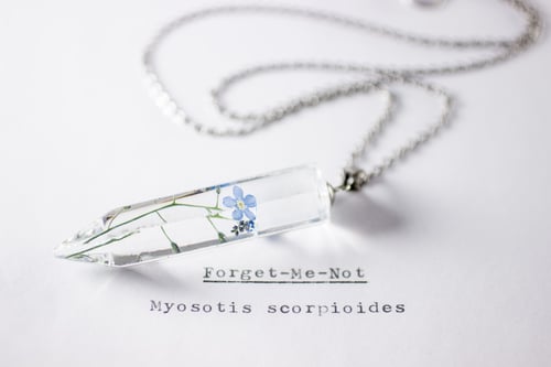 Image of Forget-Me-Not (Myosotis sylvatica) - Medium Crystalline Pendant #1