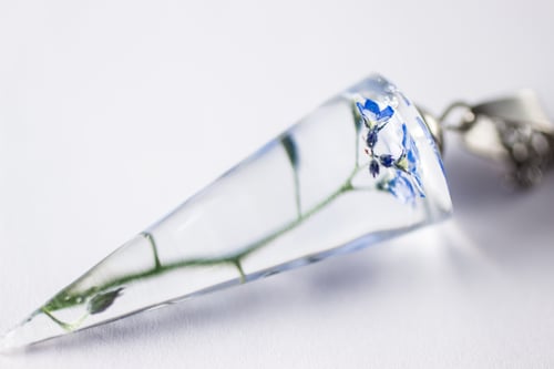 Image of Forget-Me-Not (Myosotis sylvatica) - Conical Pendant #1