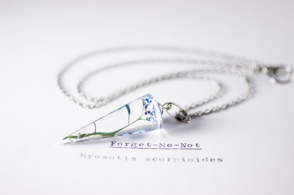 Image of Forget-Me-Not (Myosotis sylvatica) - Conical Pendant #1