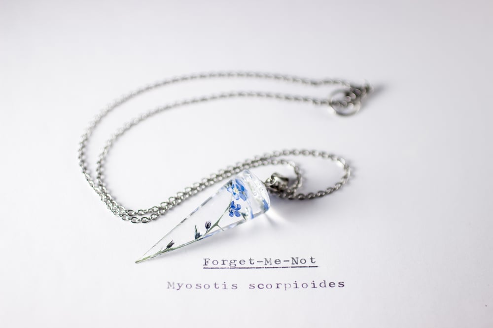 Image of Forget-Me-Not (Myosotis sylvatica) - Conical Pendant #2