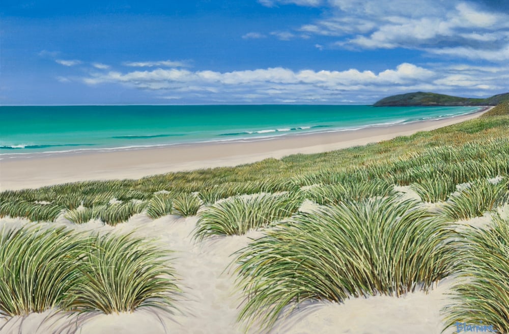 Image of Arrived, Barra giclee print