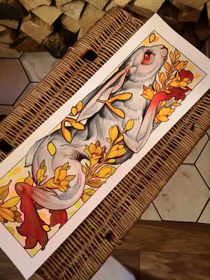 Image of Red foot long boy