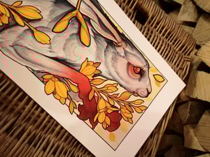 Image of Red foot long boy