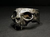 Image 1 of Anillo de cráneo de gato grande acabado pulido / Large Cat Skull Ring Polished Finish