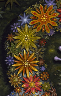 Image 4 of Original Painting: STARRY DIPLOCAULUS