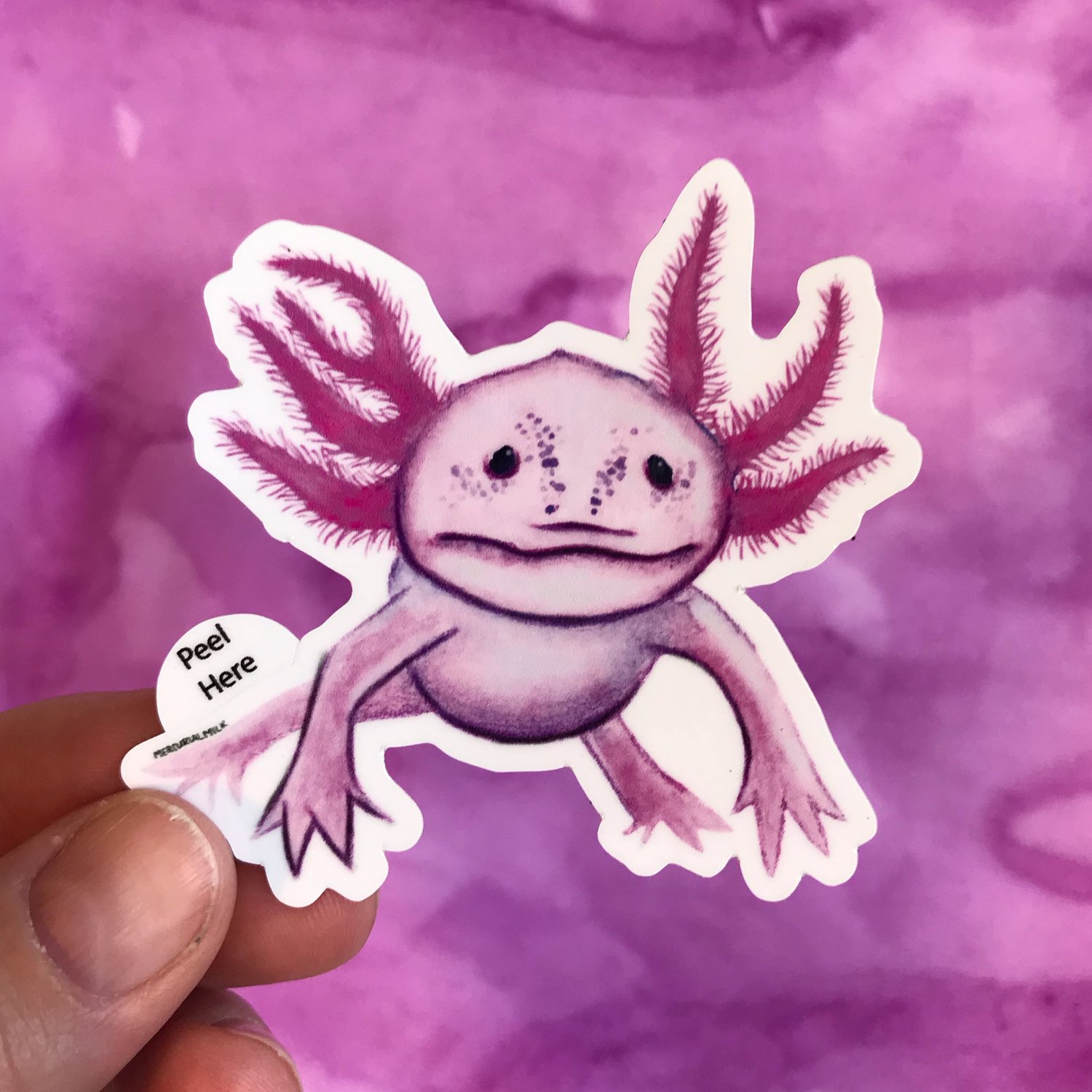 Image of Axolotl Sticker - 3 inch