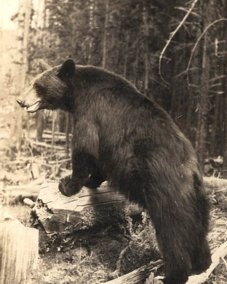 Image of Custom listing for Julien