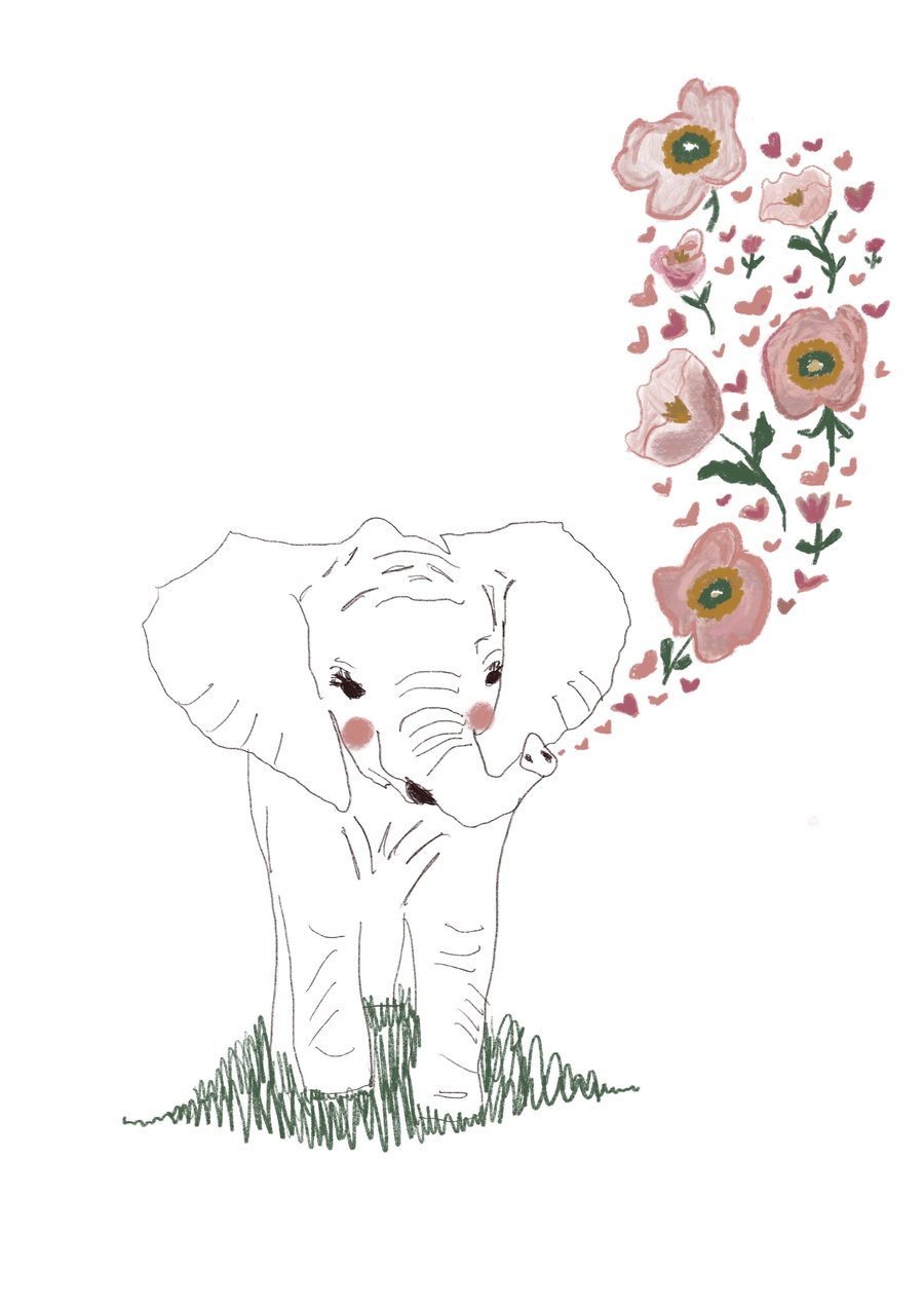 Image of White Elephant