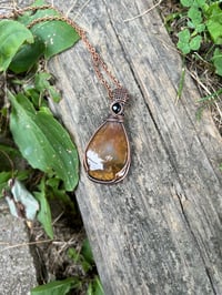 Image 1 of Petrified Wood with Onyx