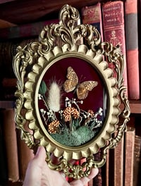 Image 2 of Vintage Fritillary Butterfly Botanical Frame