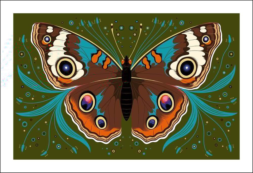 Image of Buckeye Butterfly Print