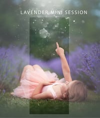 Image 1 of  lavender session 2024. deposit