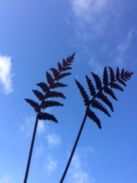 Mini Rusty Ferns - set of three