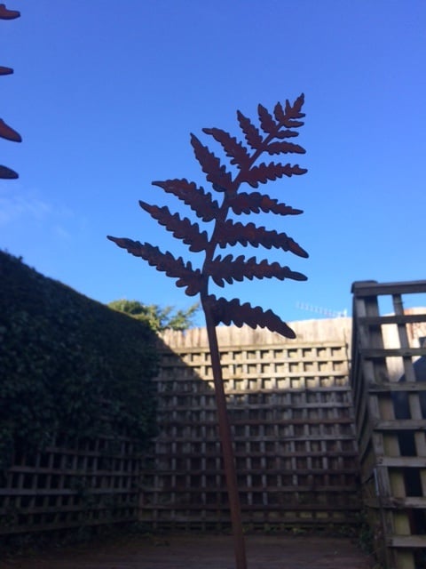 Mini Rusty Ferns - set of three