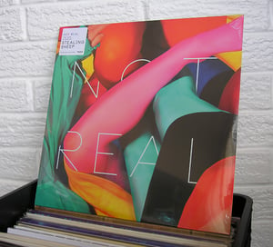 Not Real 12" Vinyl
