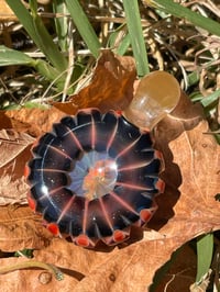 Image 2 of Firebird