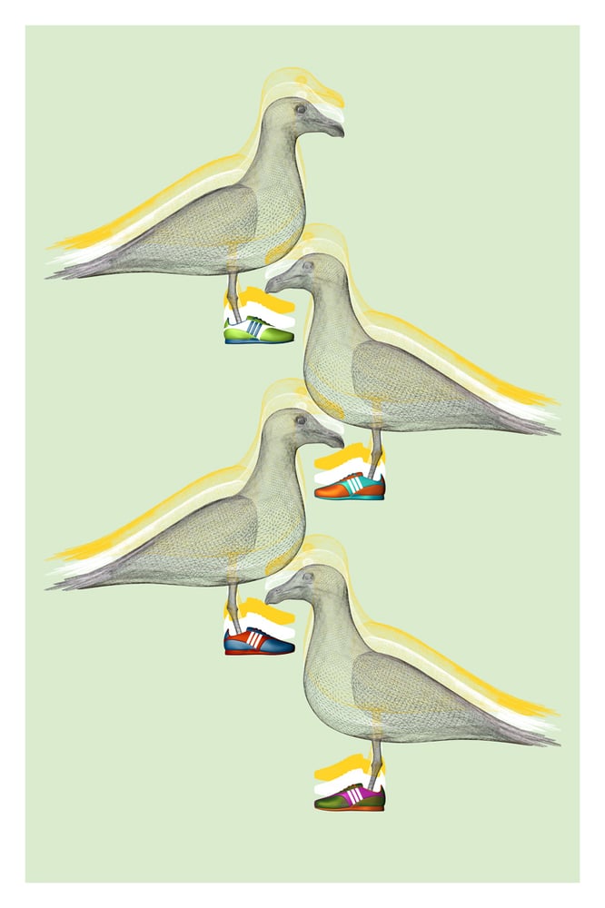 Image of Seagull Art Print