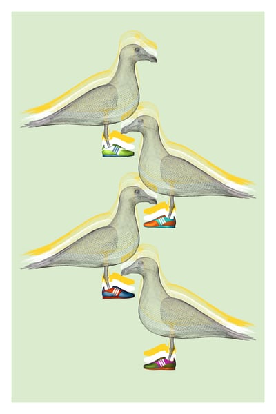 Image of Seagull Art Print