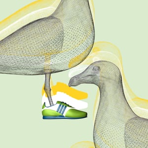 Image of Seagull Art Print