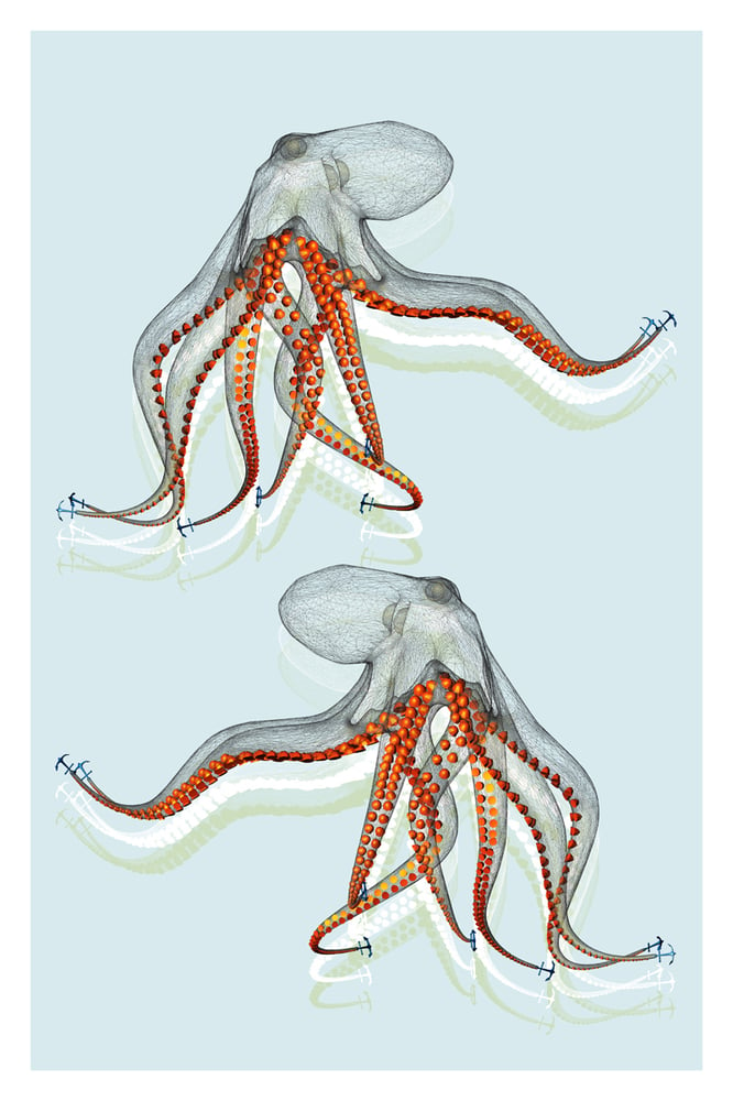 Image of Octopus Art Print