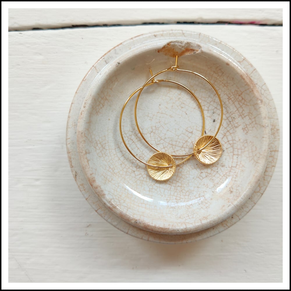Image of Gold disc hoops