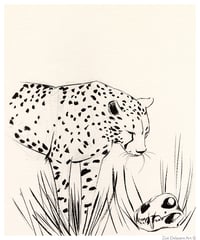 Cheetah Memento Mori