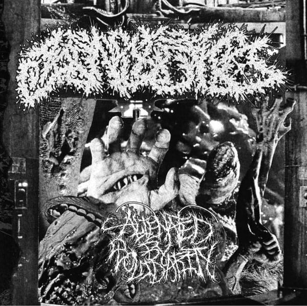 Image of Beasters - Alienated By Solidarity 7”