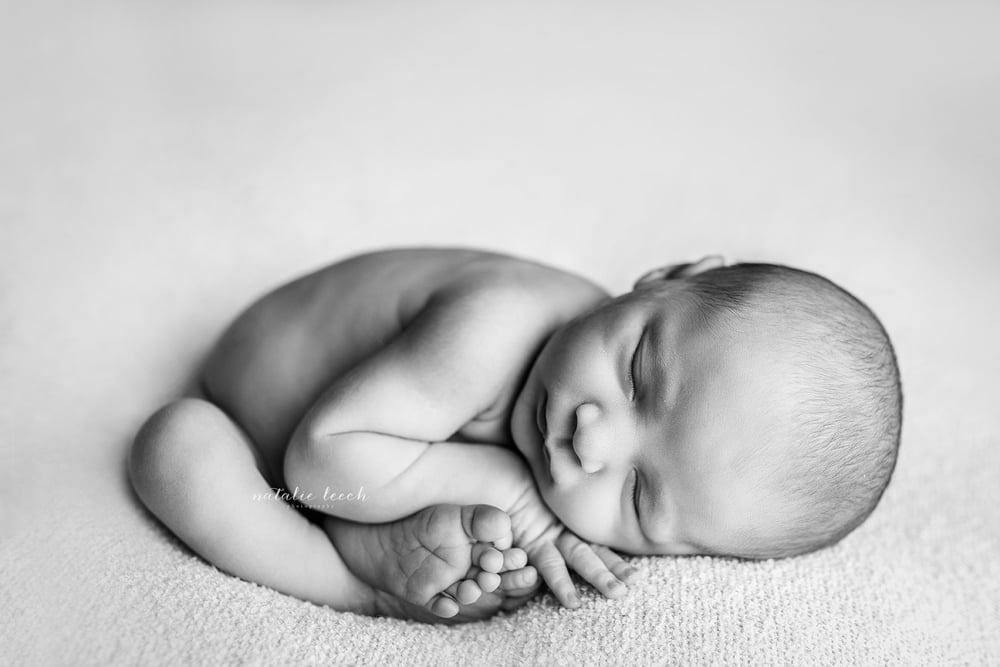 Image of Newborn photography workshop 21/05/23 (deposit only) 
