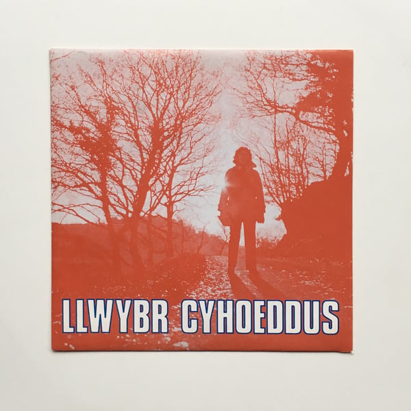 Image of Llwybr Cyhoeddus – Dawns y Dail / Yn Yr Oriel 7"