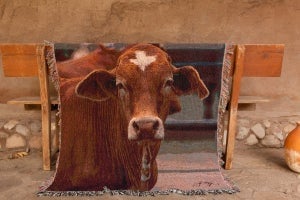 Image of Tex - Steer Tapestry Throw Blanket