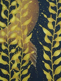 Image 3 of Magic Seeker Sea Lion in Sea Kelp Fine Art Print Extra Heavyweight A3