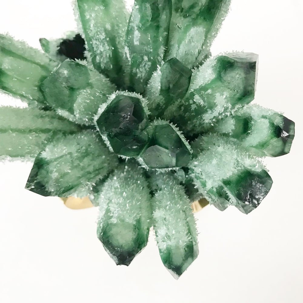 A green ghost quartz crystal cluster beside a cactus, demonstrating the interplay of textures and energies in a cactus-crystal pairing.