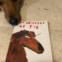 Image 1 of The Nemeses of Tib (comic)