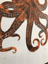 Orange Octopus (edition 7 of 20)