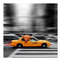 Image 1 of Taxi Passenger - Highland Cow Art Print