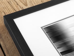 Image of Taxi Passenger - Highland Cow Art Print