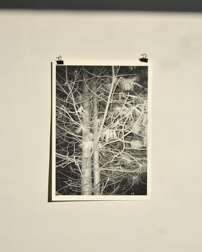 Image of "fall be kind"