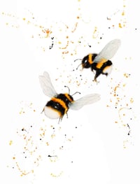 "Dance of the Bumble Bees" - From The CountryLife Collection