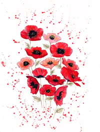 "Poppy Bouquet" - From The CountryLife Collection