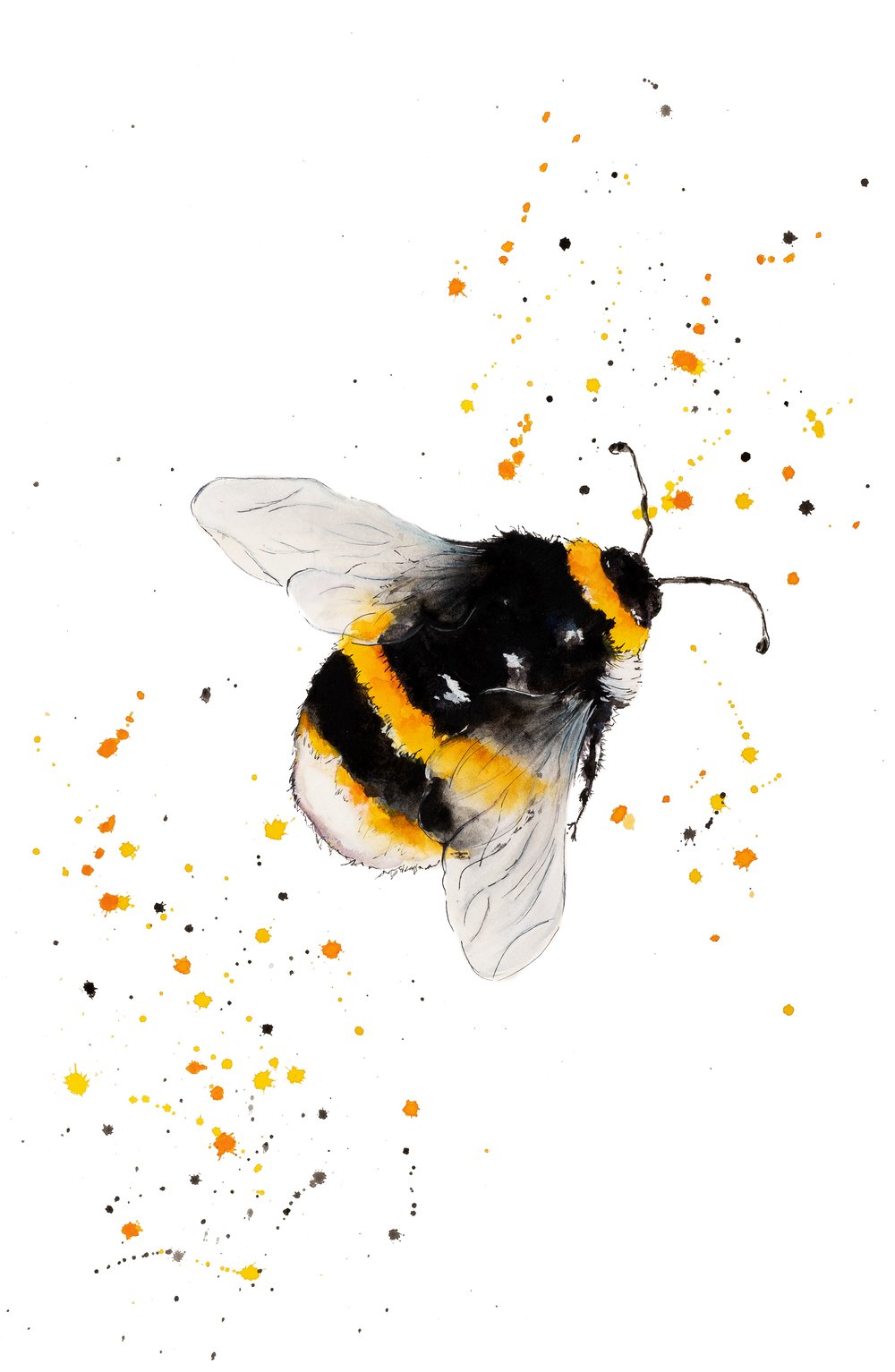 Image of "Just Buzzing Around" - From The CountryLife Collection