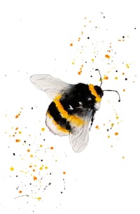 "Just Buzzing Around" - From The CountryLife Collection