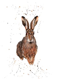 "Running Free" - RSPB Collection 