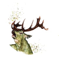 "The Calling" - From The CountryLife Collection