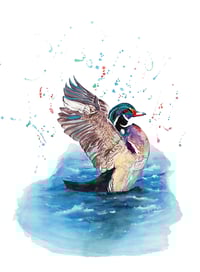 "Perfect Landing" - From The CountryLife Collection