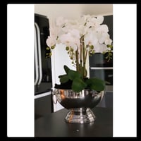 Image 2 of 6 orchids in a SILVER champagne bowl - Large 