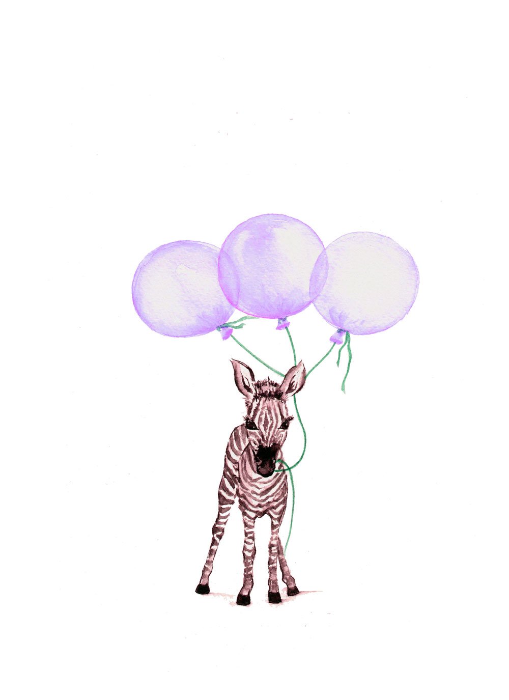 Image of Baby Zebra with Purple Balloons - From the CityLife Collection