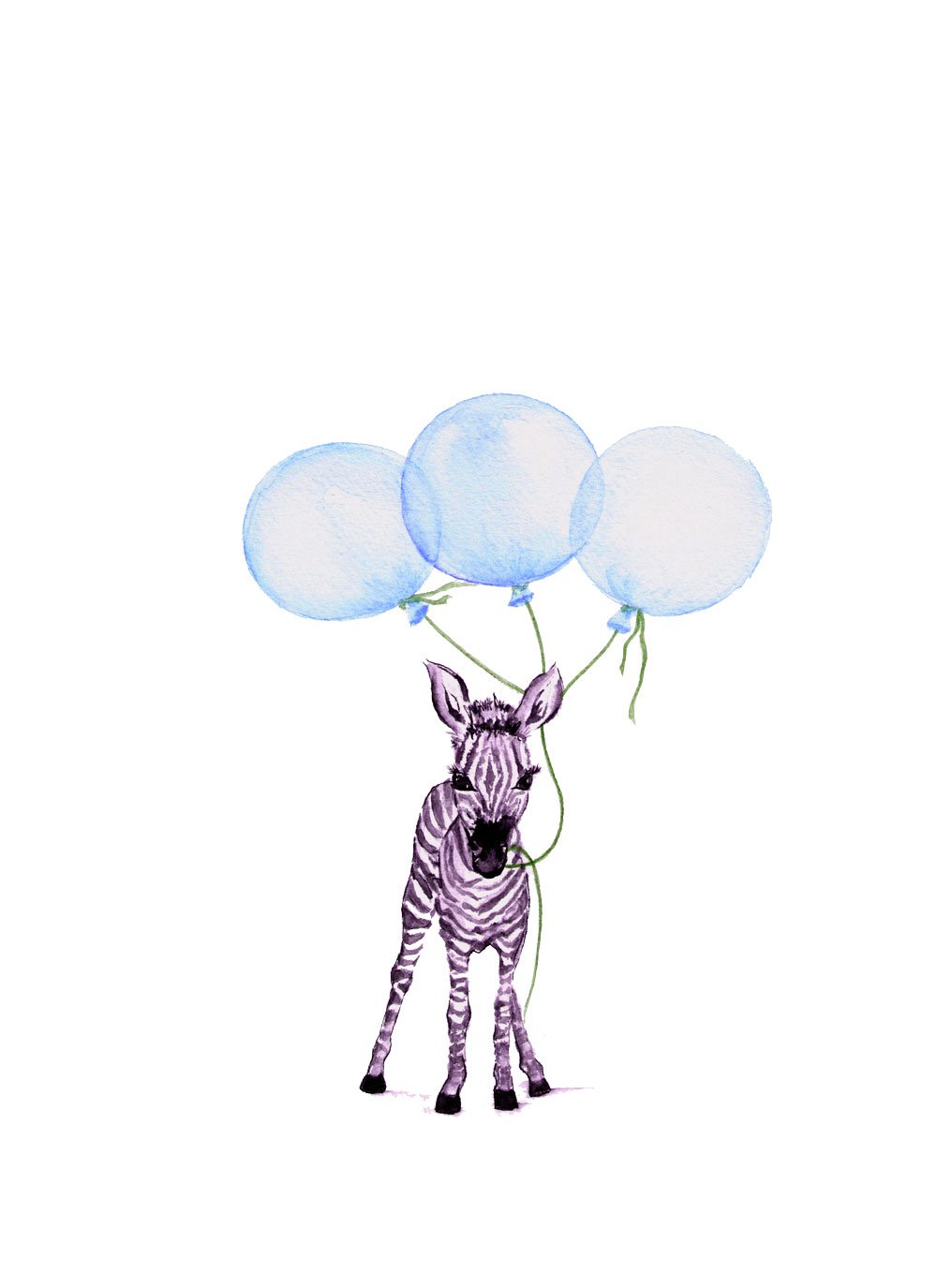 Image of Baby Zebra with Blue Balloons - From the CityLife Collection