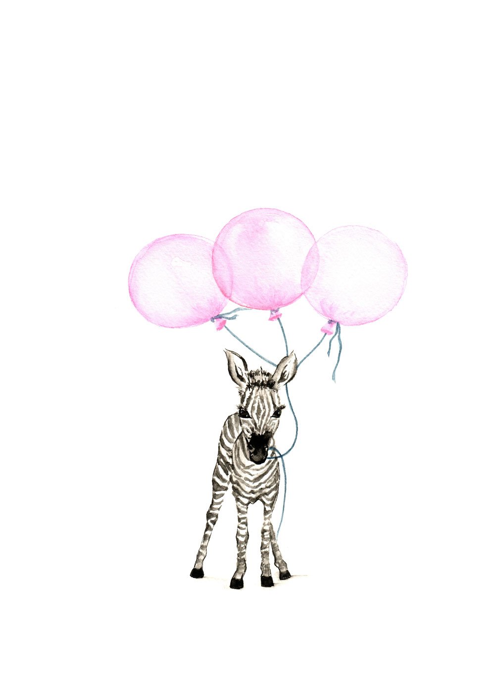 Image of Baby Zebra with Pink Balloons - From the CityLife Collection